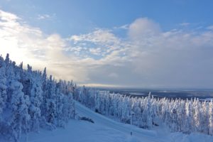 fins lapland
